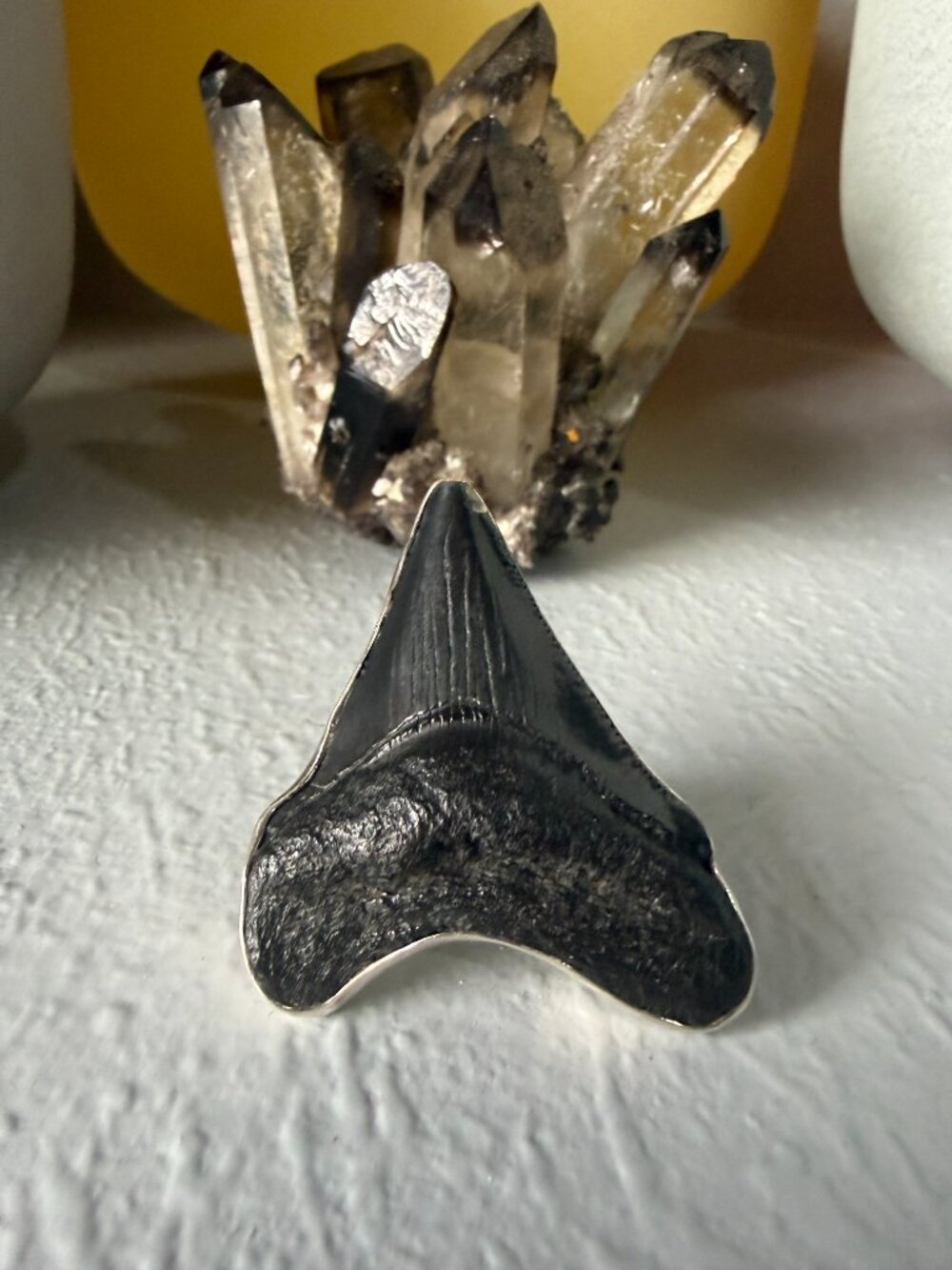 Charles Albert - Shark Tooth Fossil Sterling Silver Adjustable Ring